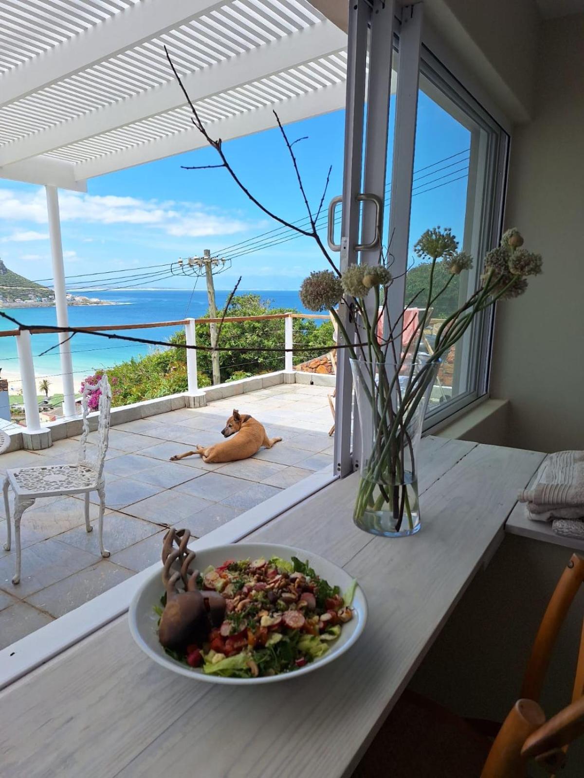 Watching Waves, Heron Chase Vishoek Exterior foto
