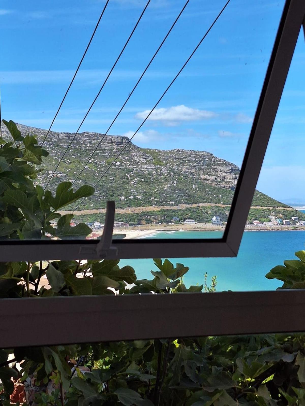 Watching Waves, Heron Chase Vishoek Exterior foto